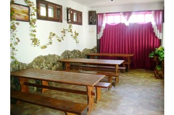 Ukraina Privát Pečenižyn, Eksterjers